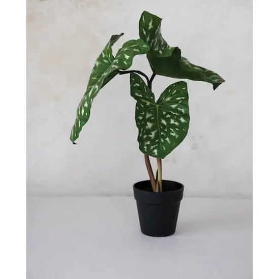 Hello Honey&reg; 24" Potted Round Faux Elephant Ear Plant {3}
