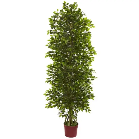6ft. Potted Tiered Ficus Tree {1}