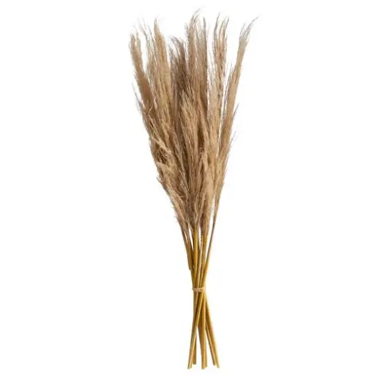 3ft. Dried Natural Pampas Grass Bundle, 2ct. {1}