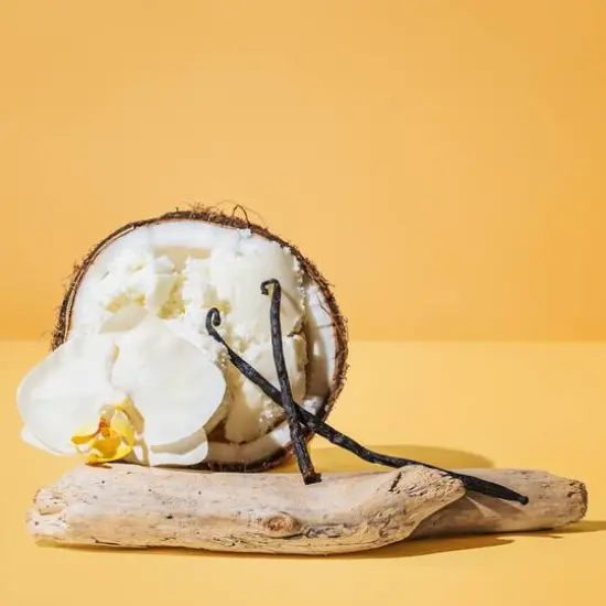 makesy Vanilla Santal + Shea Butter Fragrance Oil {3}