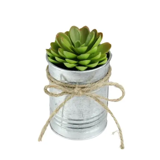 7" Lime Green Mini Sprouting Rose Succulent in Tin Planter {4}