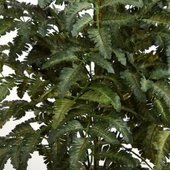 3ft. Bracken Fern in Wooden Planter {5}