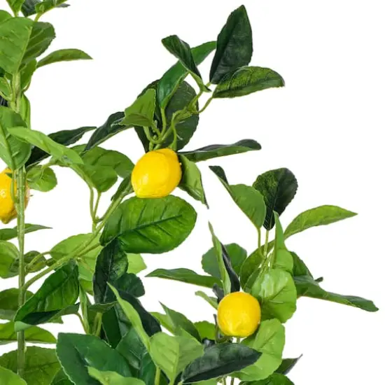 4ft. Potted Lemon Tree {4}