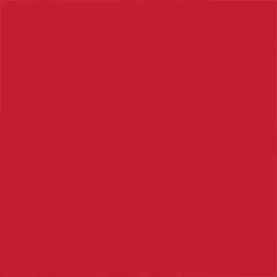 Ironlak Acrylic Spray Paint True Red {4}