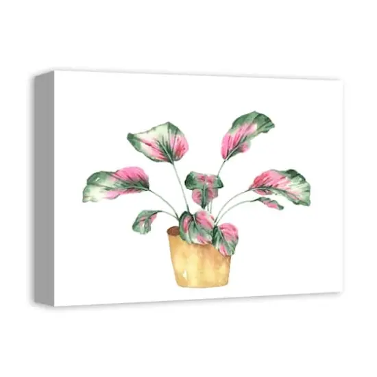 Coastal Beach Plant 16" x 12" Canvas Wall Art {3}