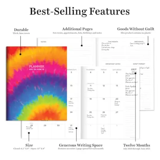 TF Publishing 2024-2025 Medium Tie-Dye Monthly Planner {3}