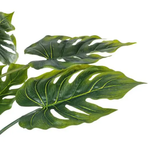 4.5ft. Potted Grand Split Philodendron Tree {6}