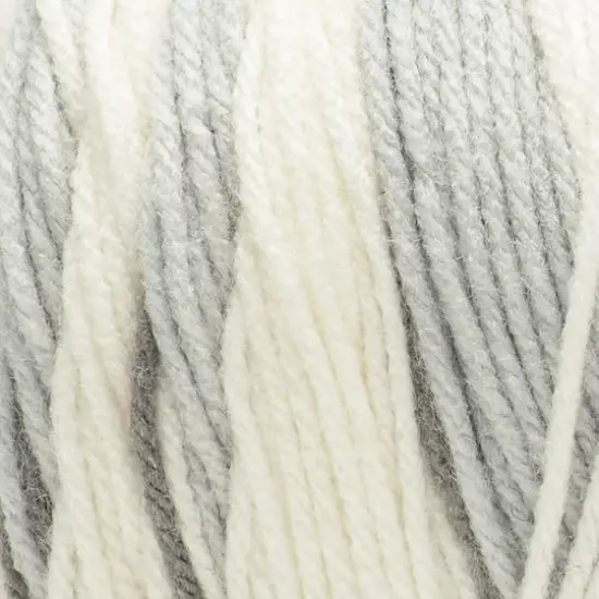 Red Heart&reg; All in One&trade; Flower Power&trade; Yarn Silver Sage {3}