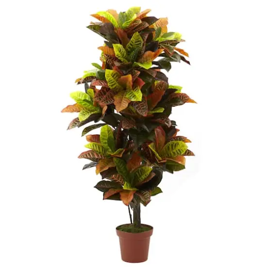 4.5ft. Potted Croton Plant {1}