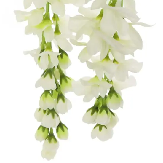 Cream Wisteria Stem by Ashland&reg; {5}