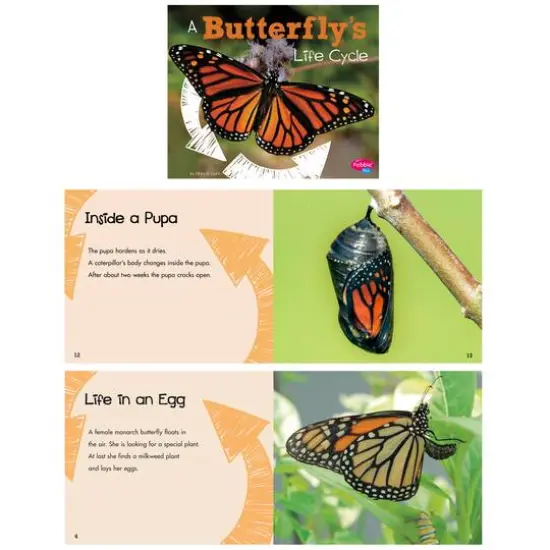 Pebble Plus Explore Life Cycles Set {6}