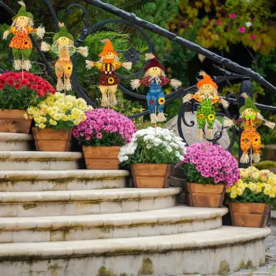 24" Fall Harvest Scarecrow Picks, 6ct. {3}