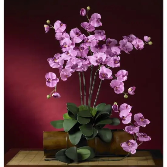 Mauve Moth Orchid Stem, 6ct. {4}