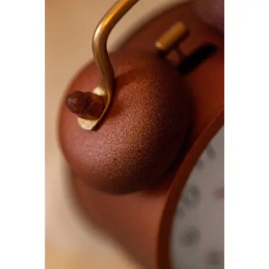 Montana&trade; Cans Rust Orange Brown EFFECT Rust Spray {23}