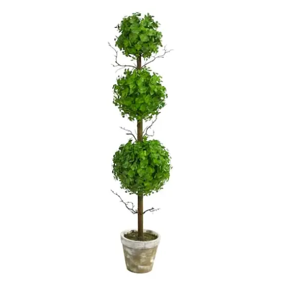 3ft. Potted Eucalyptus Triple Ball Topiary Tree {1}
