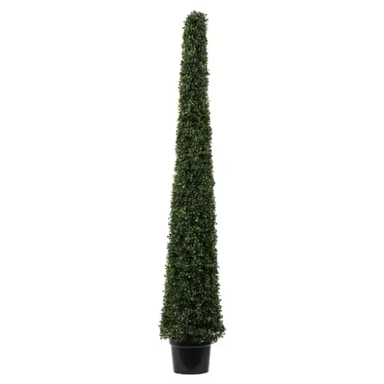 6ft. Potted Boxwood Cone Tree {1}