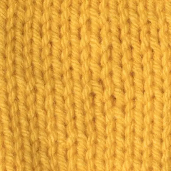 Caron&reg; One Pound&trade; Yarn Sunflower {5}