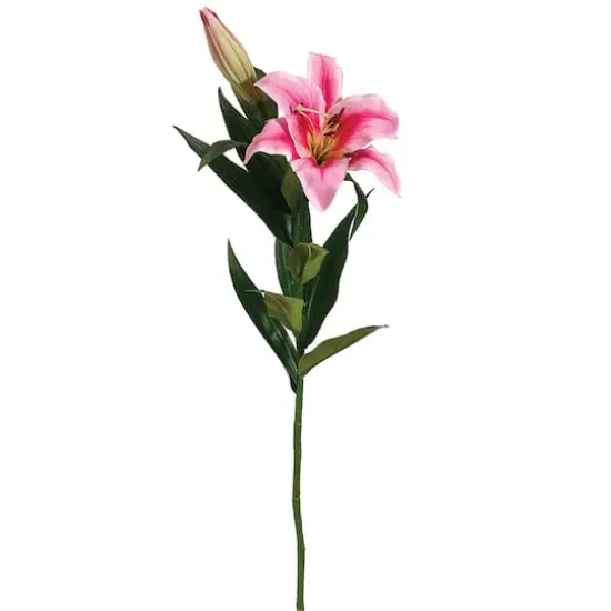 Rubrum Pink Stargazer Lily Spray {1}