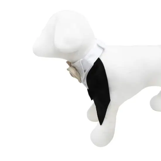 Best Furry Friends Rustic Tuxedo Dog Collar {4}