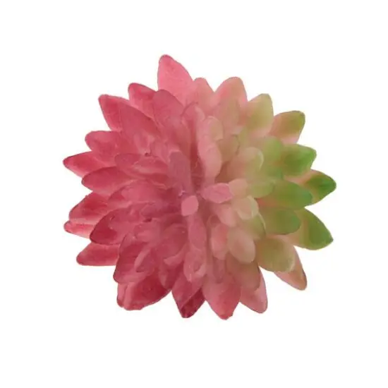 Flora Bunda&reg; Pink Bean Succulent Pick, 12ct. {1}