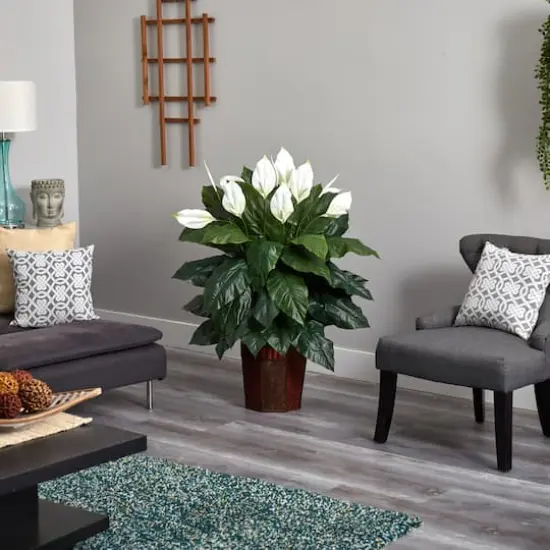 4ft. Peace Lily Plant in Wood Vase {4}