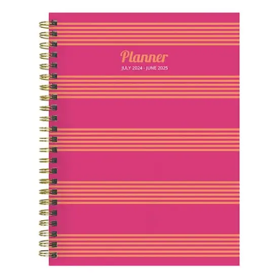TF Publishing 2024 - 2025 Cabana Stripe Medium Spiral Planner {1}