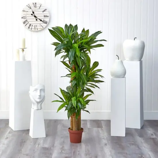 5ft. Corn Stalk Dracaena Silk Plant  {5}