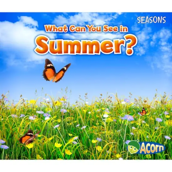 Capstone Press Seasons 4 Book Set {4}