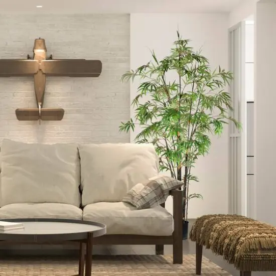 7ft. Potted Black Japanese Bamboo Tree {3}