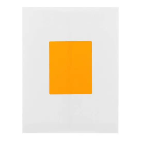 JAM Paper Extra Large Shipping Address Label Stickers Neon Orange {7}