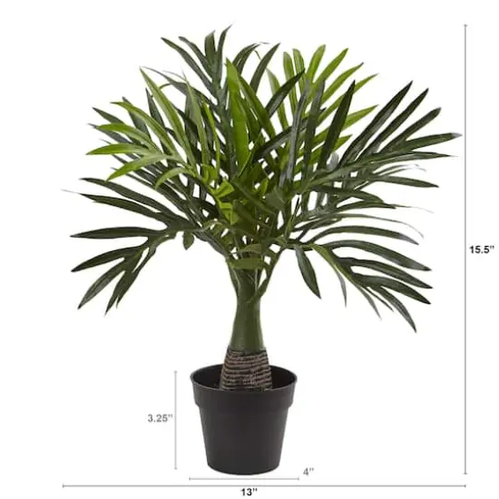 15.5" Potted Mini Areca Palm Plant {3}