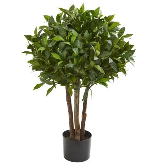 3ft. Potted Bay Leaf Topiary Tree {1}