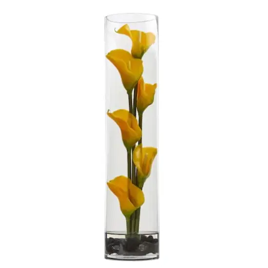 18" Yellow Mini Calla Lily Arrangement in Cylinder Glass Vase {1}