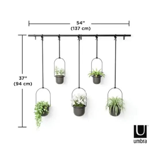Umbra Black Triflora Hanging Planter Set {3}