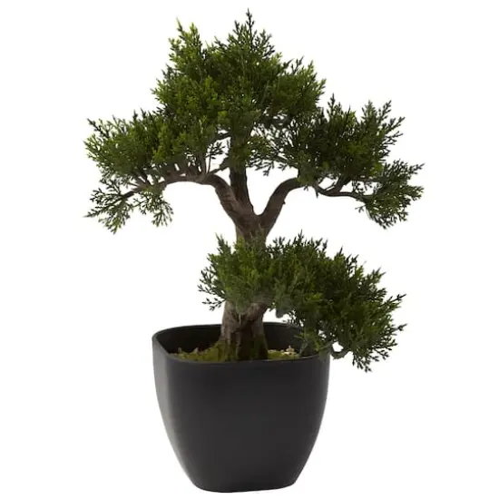 15in. Cedar Bonsai with Black Square Planter {1}
