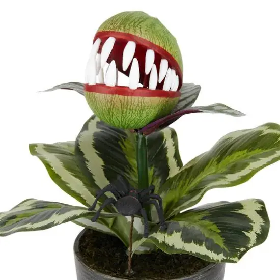 14" Venus Flytrap in Rustic Black Pot by Ashland® {3}