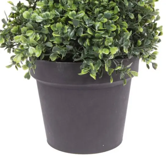 4ft. Potted Green Boxwood Spiral Tree {7}