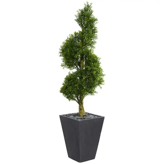 5ft. UV Resistant Boxwood Spiral Topiary Artificial Tree in Slate Planter {1}