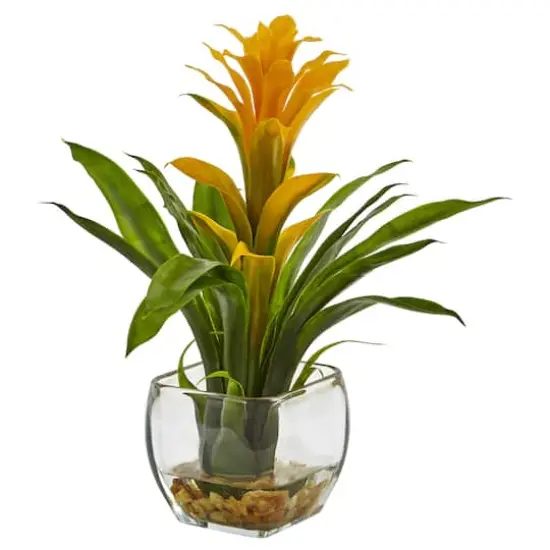 12" Bromeliad Plant with Glass Vase Arrangement {1}