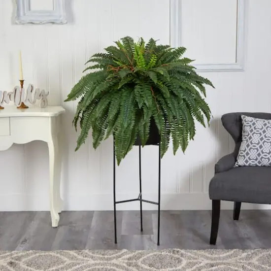 51" Boston Fern Plant in Black Planter with Stand {4}
