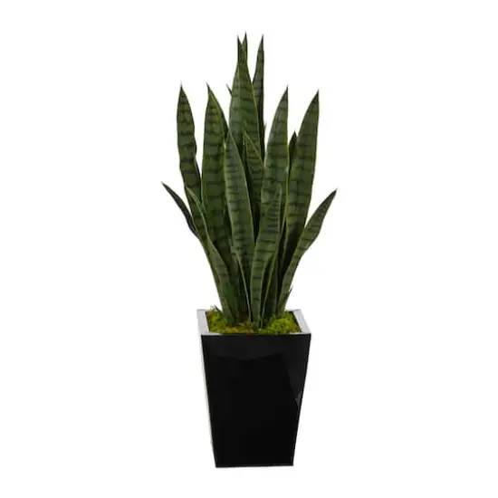 3ft. Snake Plant in Black Metal Planter {1}