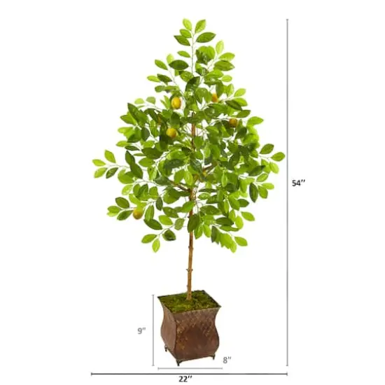 4.5ft. Lemon Tree in Decorative Planter {3}