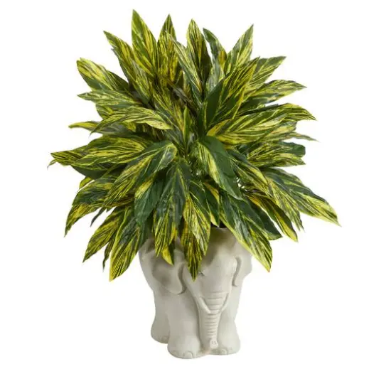 25" Spiderwort Plant in White Elephant Shaped Planter {4}
