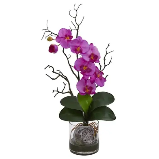 24" Moth Orchid in Clear Vase Purple {1}