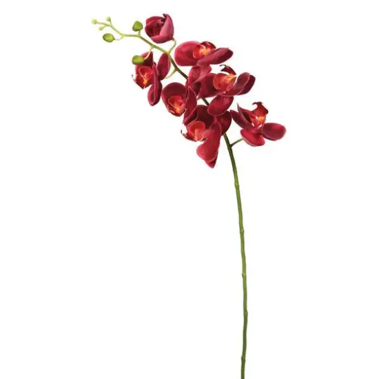 Magenta Real Touch Orchid Stem {1}