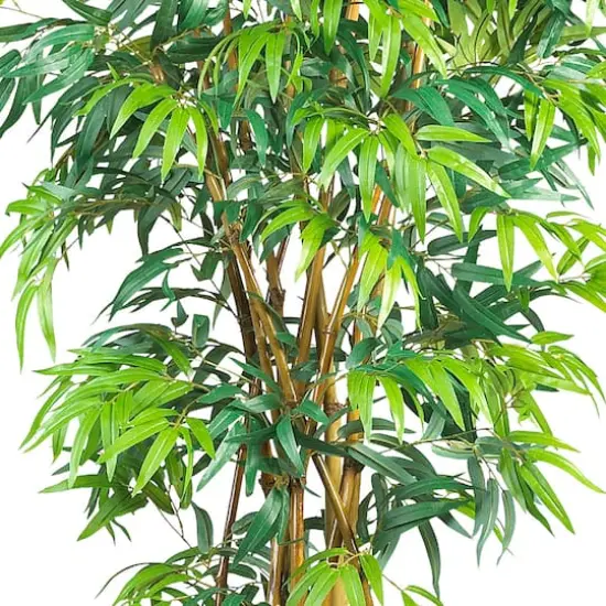 6ft. Potted Curved Bamboo Tree {4}