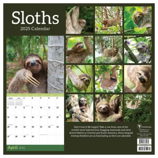 TF Publishing 2025 Sloths Wall Calendar {3}
