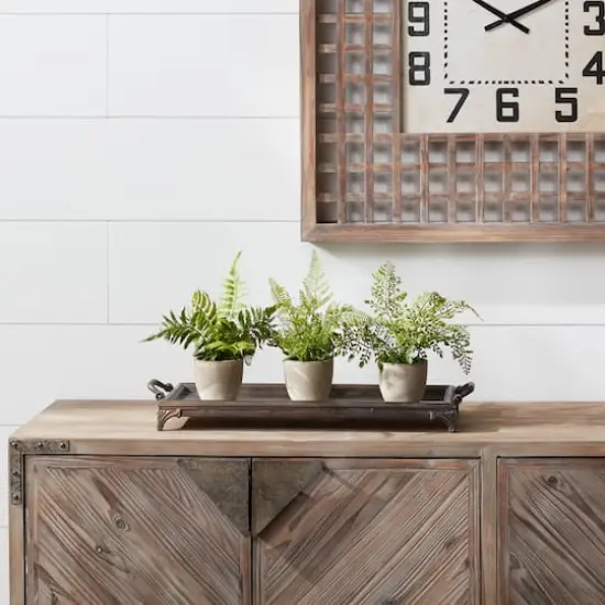 11" Potted Fern Plant Set {5}