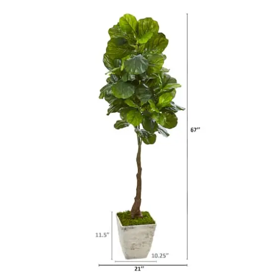5.6ft. Real Touch&trade; Fiddle Leaf Tree in Country White Planter {3}