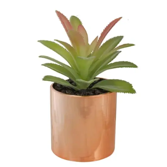 5" Green Aloe Plant in Rose Gold Pot {1}